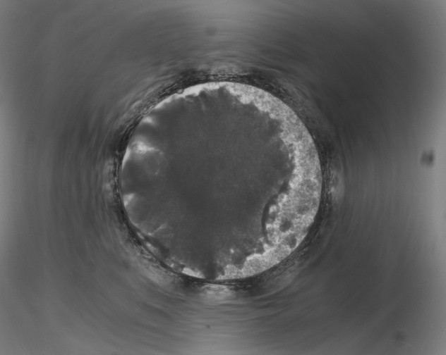 X0000115480519200912181212