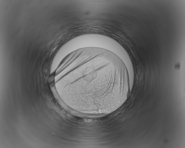 X0000115480520200912181212