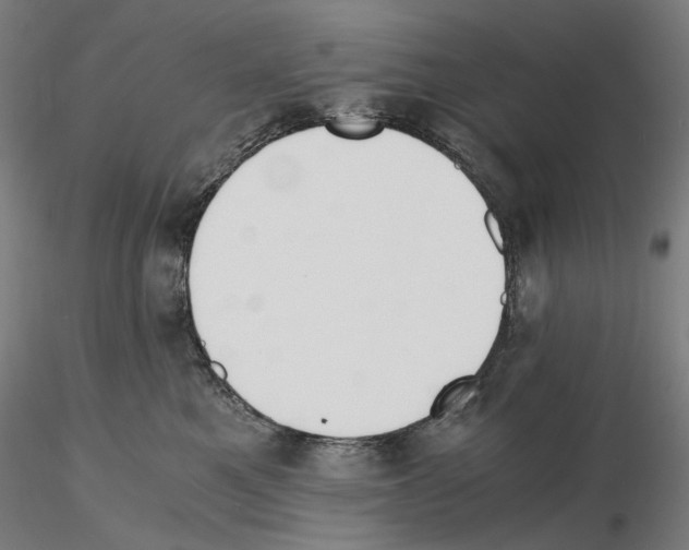 X0000115480521200912181212