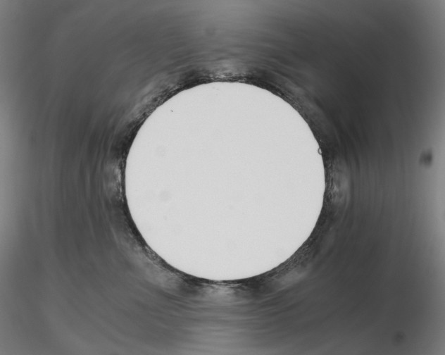 X0000115480523200912181212
