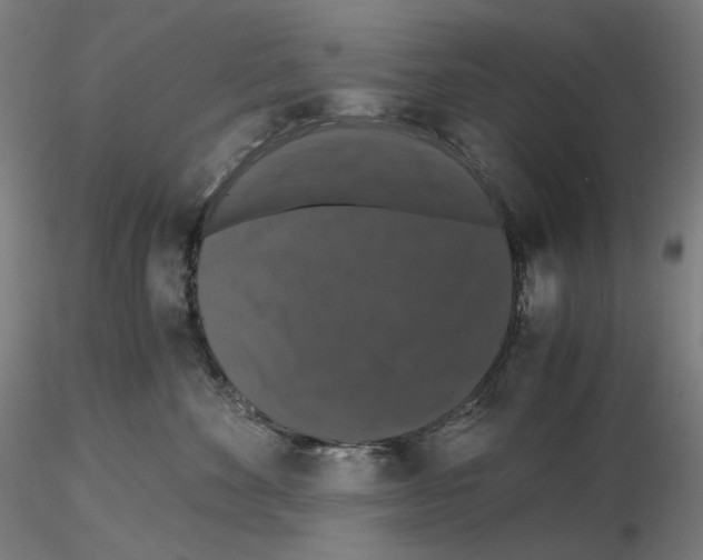 X0000115480524200912181212