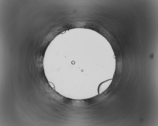 X0000115480525200912181211