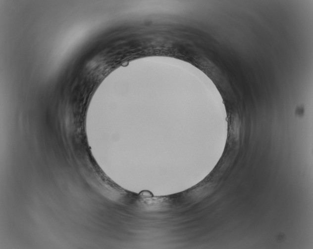 X0000115480526200912181211