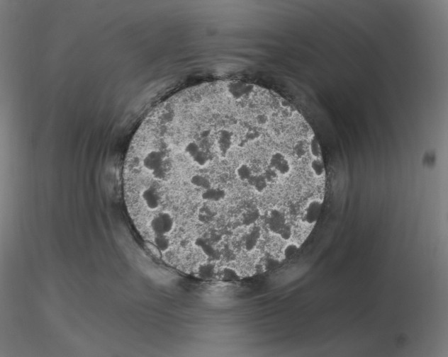 X0000115480527200912181211