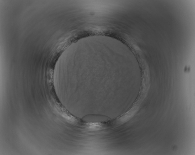 X0000115480528200912181211