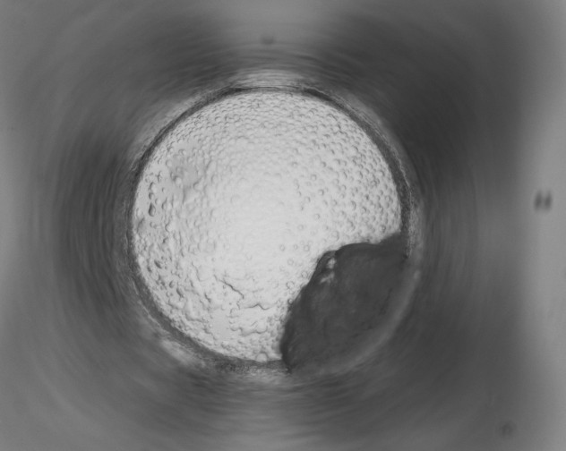 X0000115480529200912181211