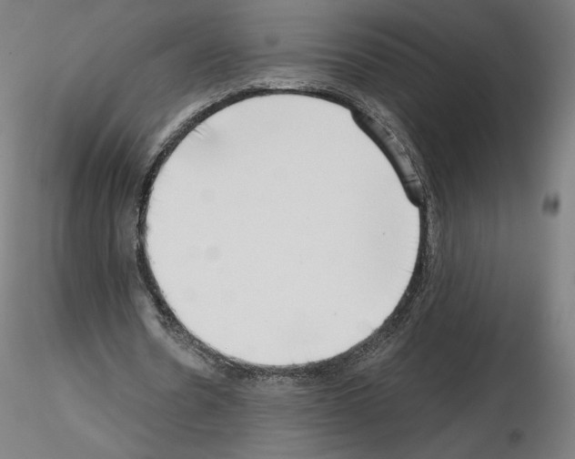 X0000115480530200912181211