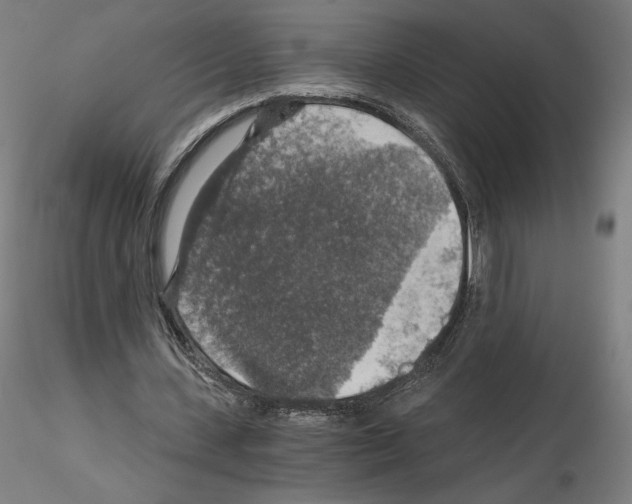 X0000115480531200912181211