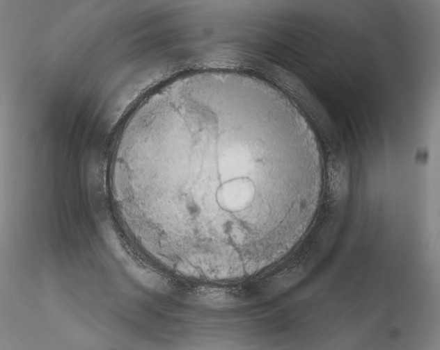 X0000115480534200912181211