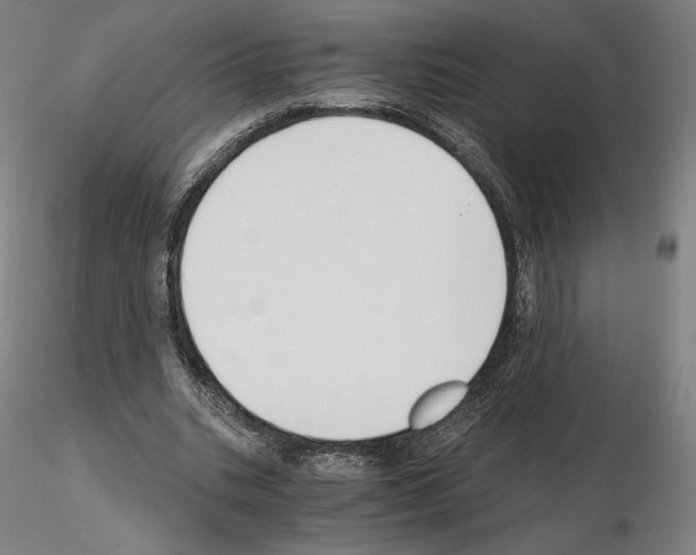 X0000115480535200912181211