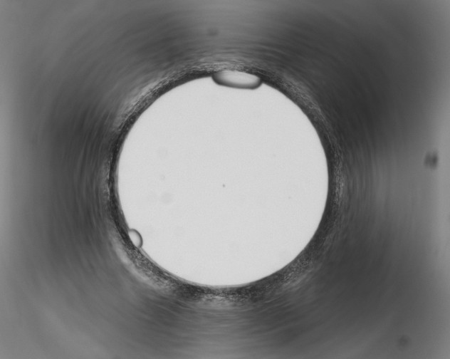 X0000115480538200912181211