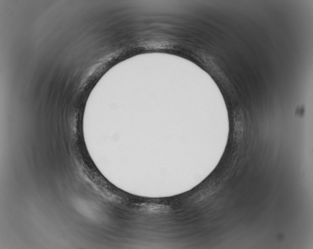 X0000115480539200912181211