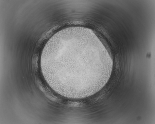X0000115480542200912181211