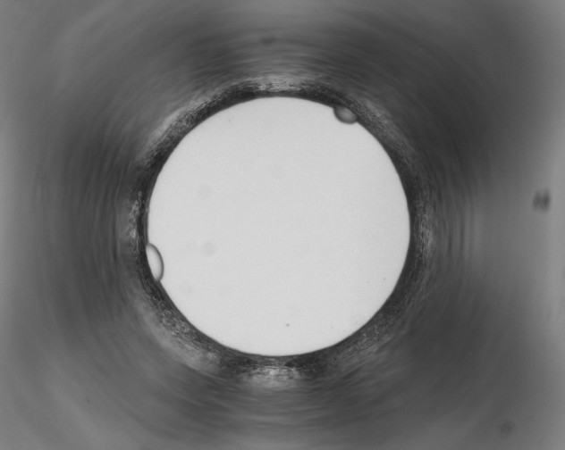X0000115480543200912181211