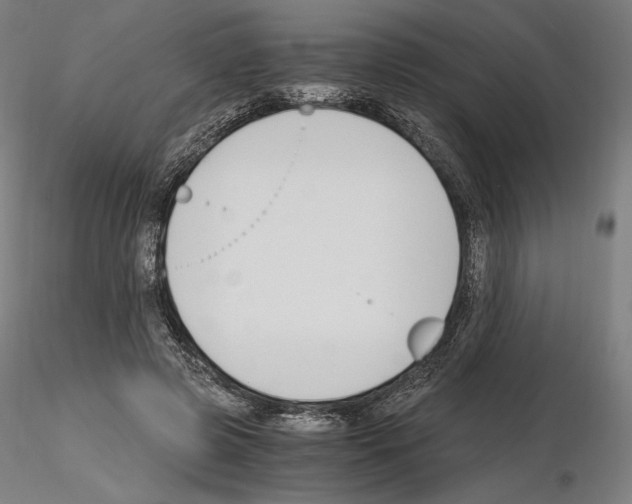 X0000115480545200912181211