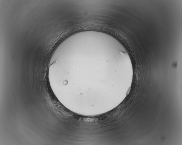 X0000115480546200912181211