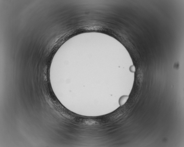 X0000115480547200912181211