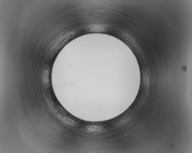 X0000115480549200912181211