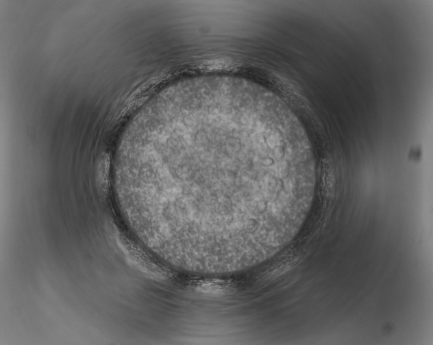 X0000115480550200912181211