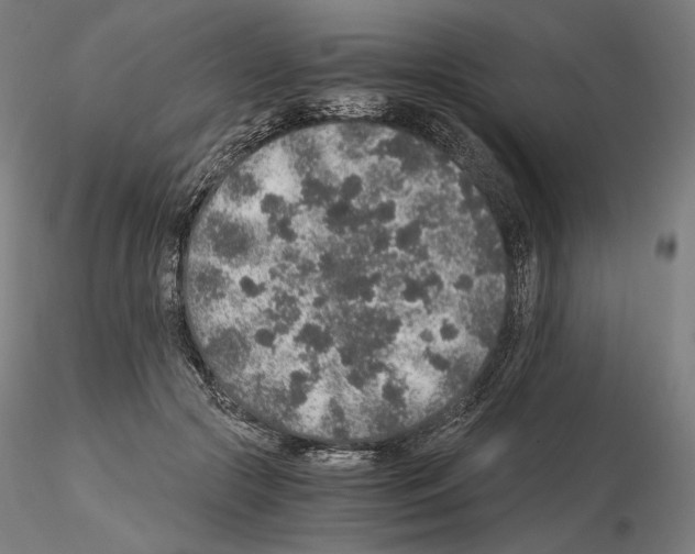 X0000115480553200912181211