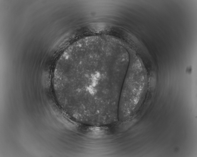 X0000115480558200912181211