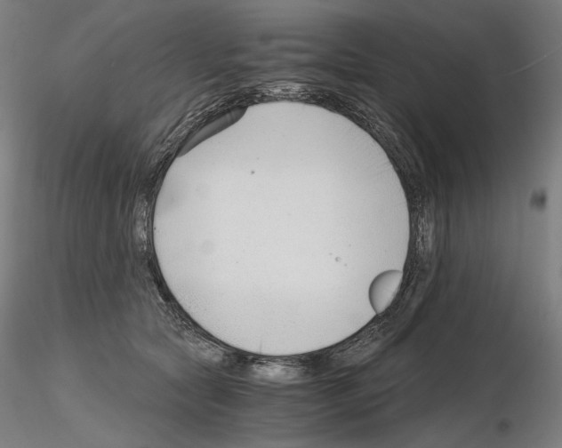 X0000115480561200912181211
