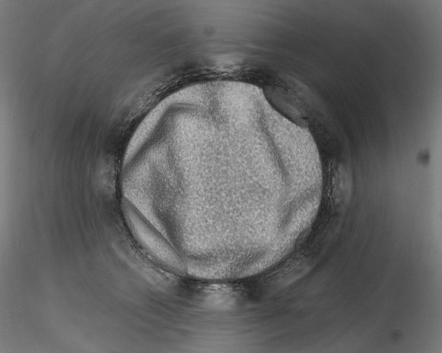 X0000115480562200912181211