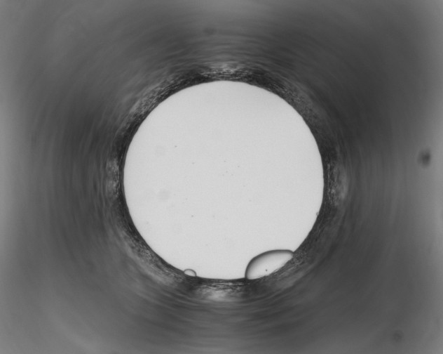 X0000115480563200912181211