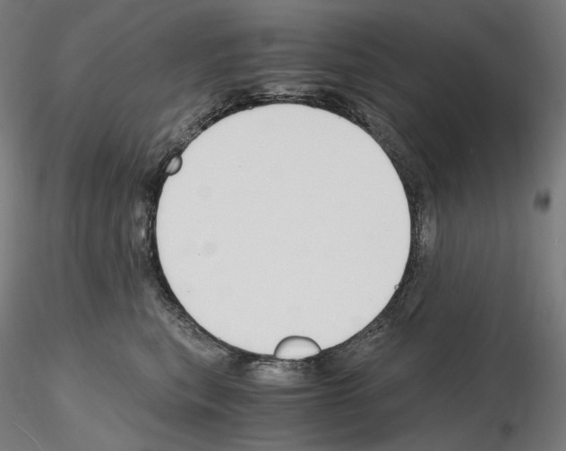 X0000115480567200912181211