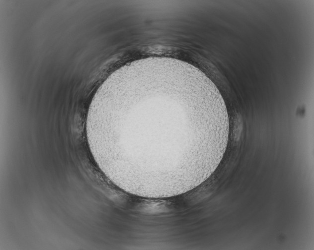 X0000115480569200912181211