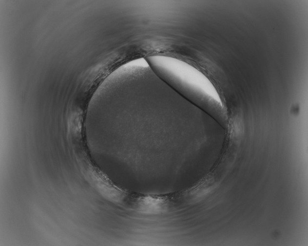 X0000115480570200912181211