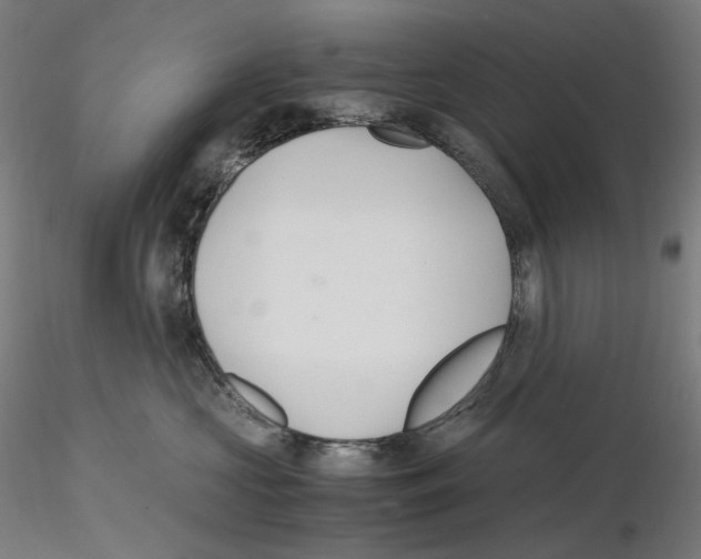 X0000115480573200912181211