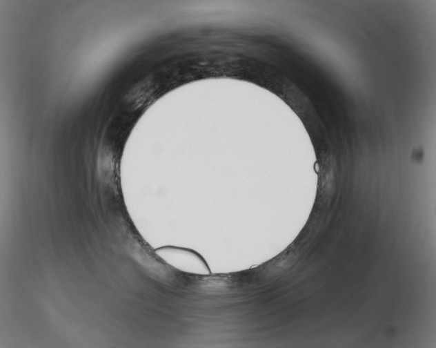 X0000115480574200912181211