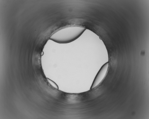 X0000115480575200912181211