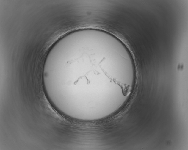 X0000115480577200912181211