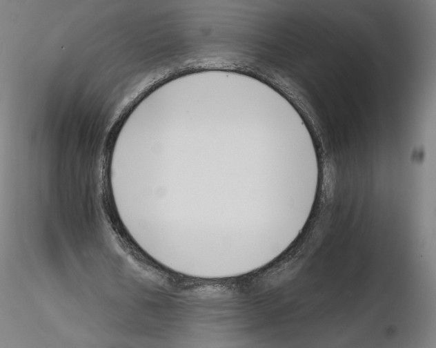 X0000115480578200912181211