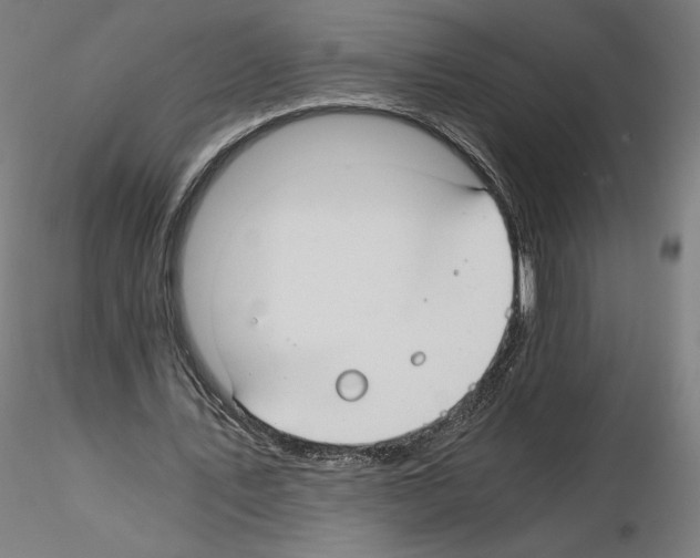 X0000115480579200912181211