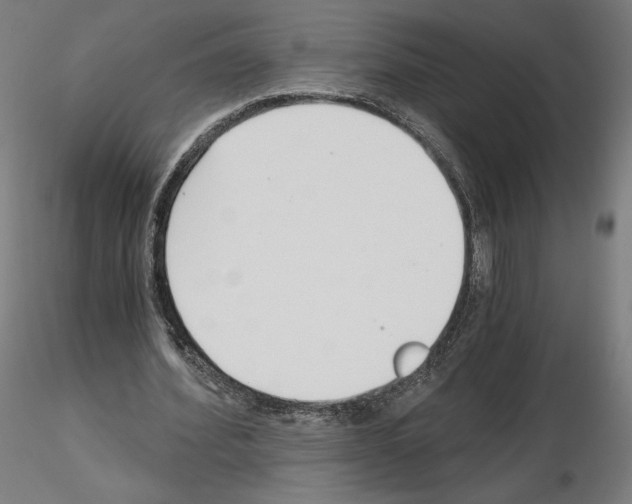 X0000115480580200912181211