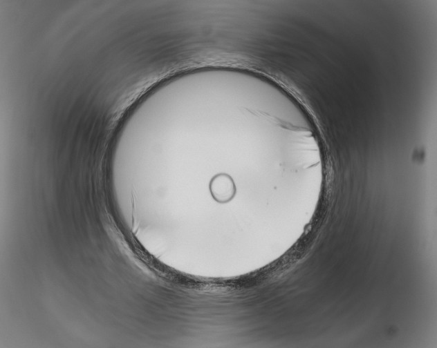 X0000115480581200912181211
