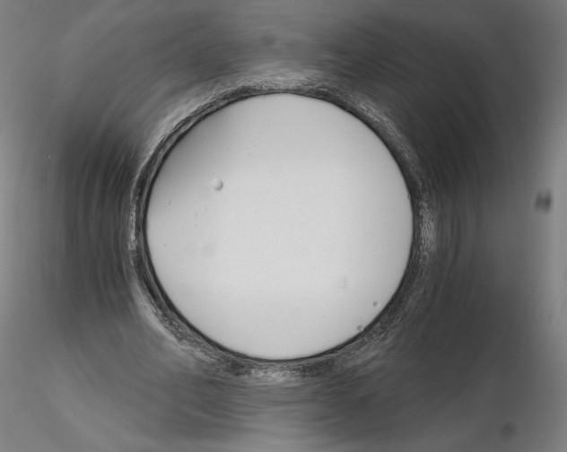 X0000115480582200912181211