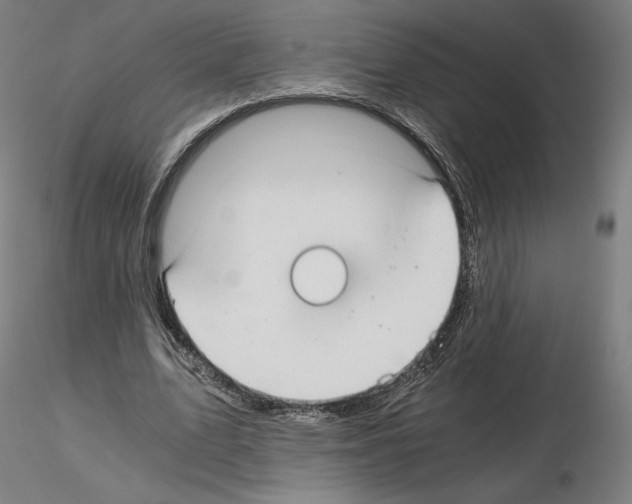 X0000115480583200912181211
