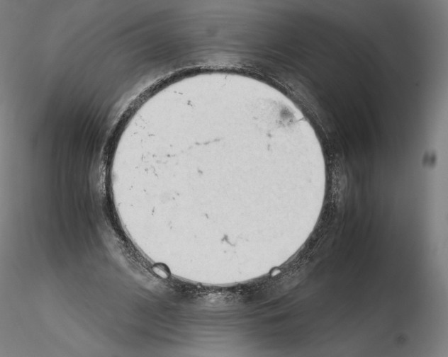 X0000115480584200912181211