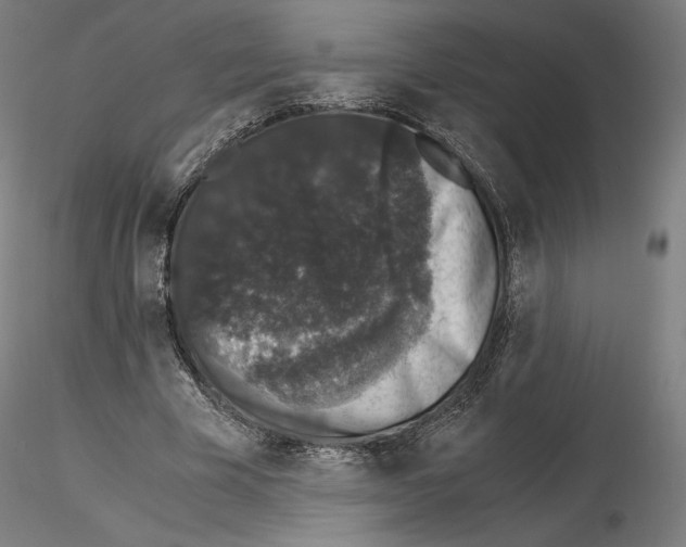 X0000115480585200912181211