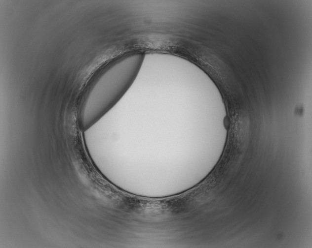 X0000115480587200912181211