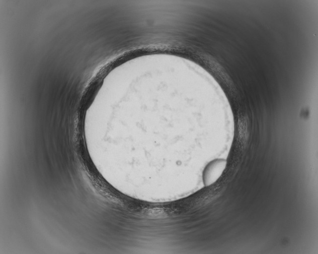 X0000115480588200912181211
