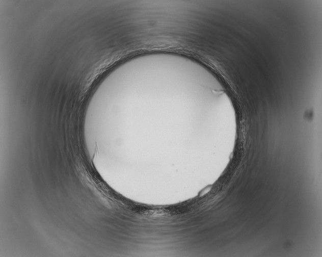 X0000115480589200912181211