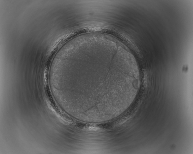 X0000115480590200912181211