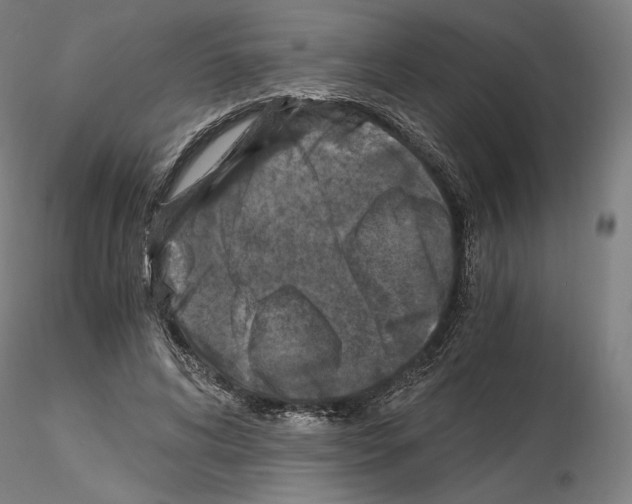 X0000115480592200912181210