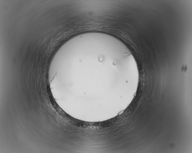X0000115480593200912181210