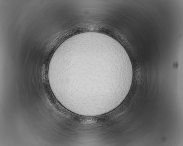 X0000115480594200912181210